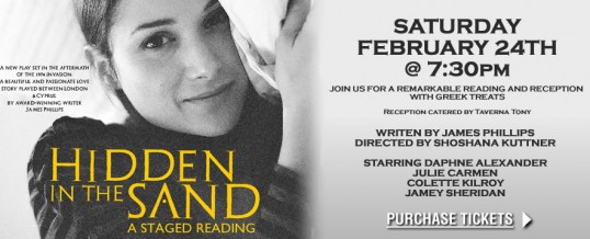 Hidden in the Sand-banner